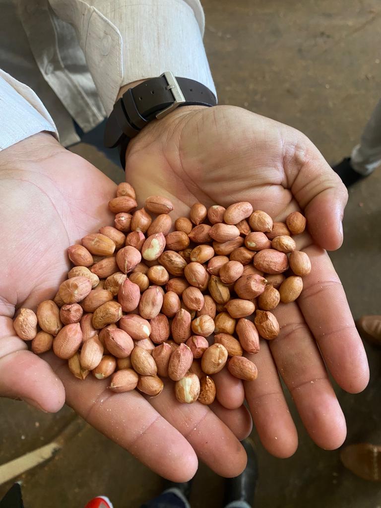 WhatsApp Image 2023-05-26 at 10.02.54 (9).jpeg