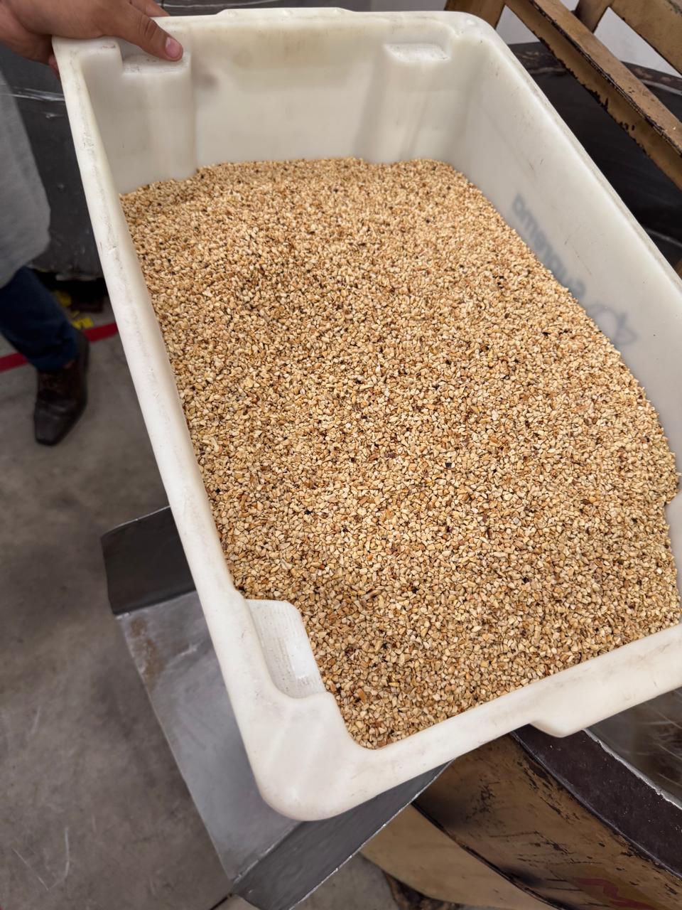 WhatsApp Image 2025-08-29 at 12.08.53.jpeg