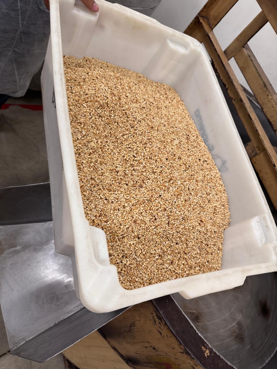 WhatsApp Image 2025-08-29 at 12.08.53 (1).jpeg