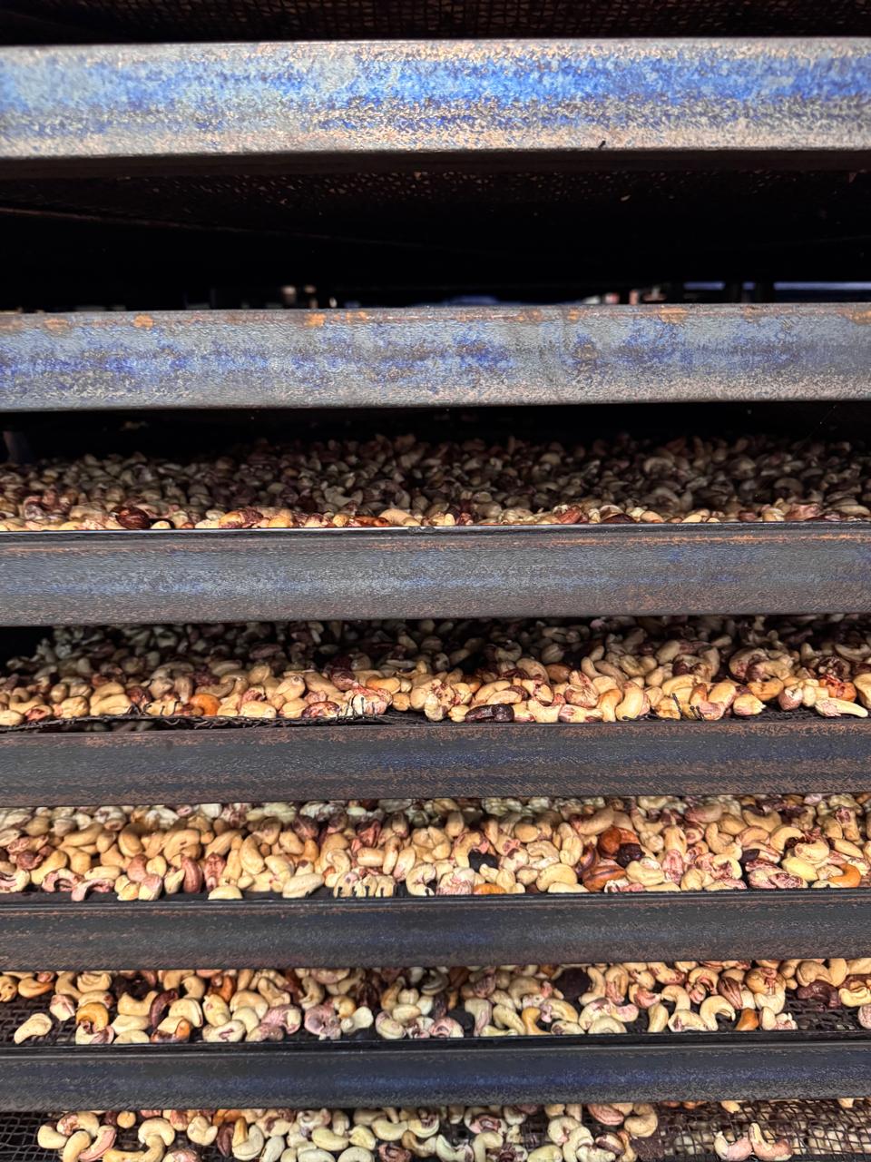 WhatsApp Image 2025-08-29 at 12.08.53 (2).jpeg